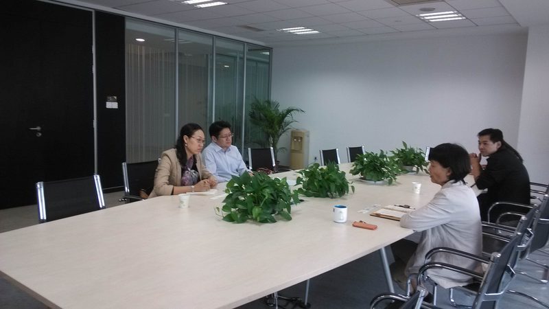 可行性研究报告与项目建议书：本质区别与选择要点