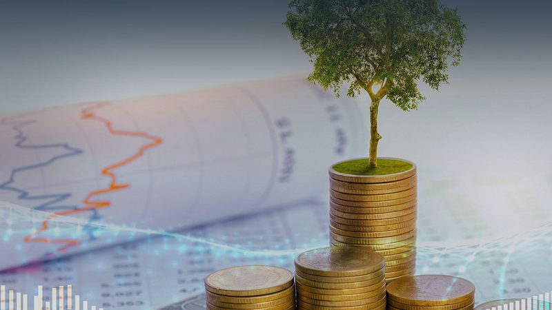 成都做管理咨询的公司排名